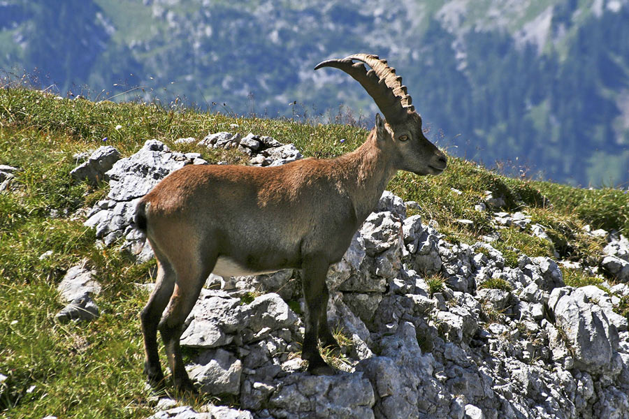 Ausflugsziel Nationalpark Berchtesgaden